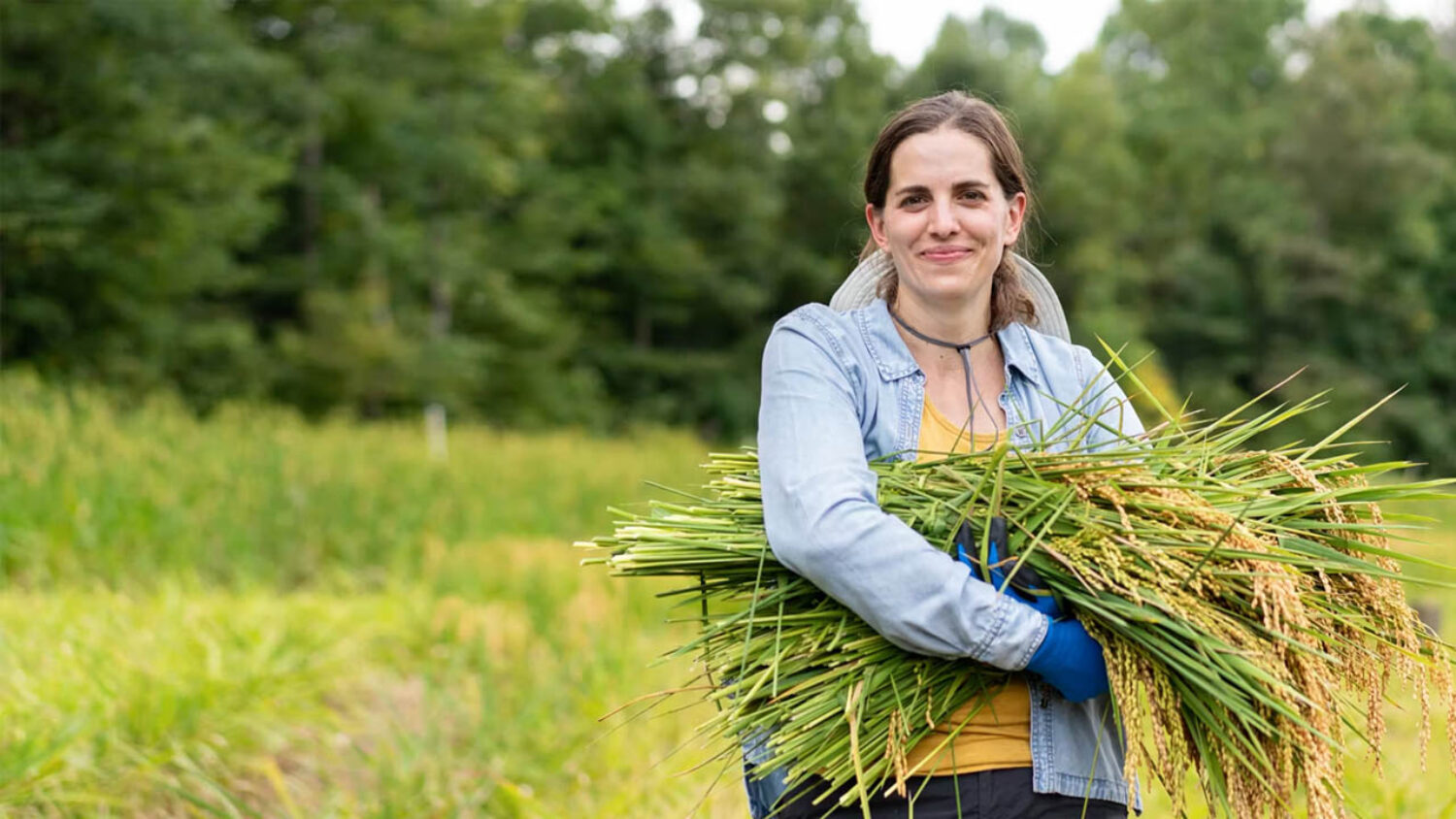 Katie Button - From The Source Cover